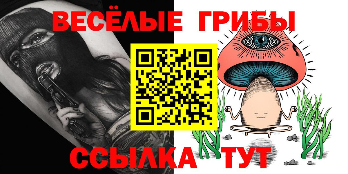 Псилоцибиновые грибы GOLDEN TEACHER  Вход с VPN  Спасск-Дальний  Псилоцибиновые грибы ЛСД 